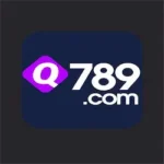 Q789 Game