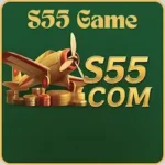 S55 Game