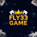 Fly33 Game