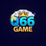 Q66 Game